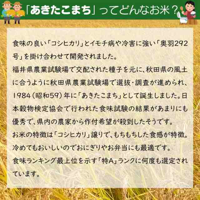 新米 米 お米 10kg ( 5kg ×2袋 ) 秋田県産 あきたこまち 精米 令和4年産 古代米30g付きの通販はau PAY マーケット -  水菜土農園（みなとのうえん）