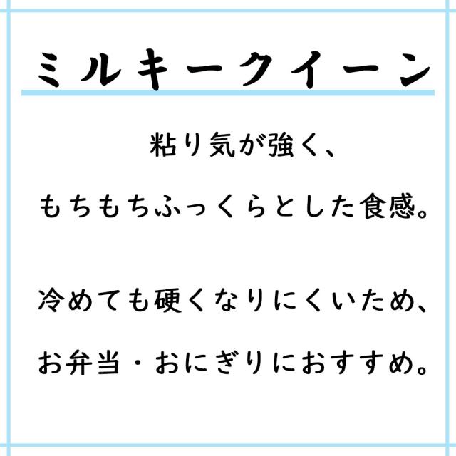米 お米 ミルキークイーン 精米 10kg (5kg×2袋) 秋田県産 白米 送料無料 令和7年産 / 選べるプレゼント付き mks10_1