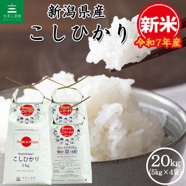 新米 令和7年産 米 お米 20kg (5kg×4袋) 新潟県産