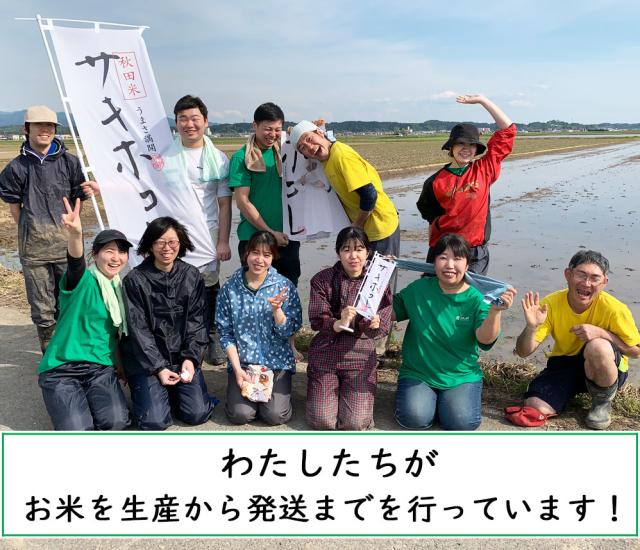 米 お米 もち米 精米 10kg (5kg×2袋) 秋田県産 きぬのはだ 令和7年産 古代米30g付き_4