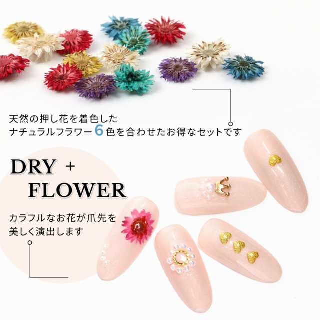 ドライフラワー 押し花 デイジー 6色セット ネイル 押し花 デコ レジン 押し花 ハーバリウムの通販はau PAY マーケット - AQUA NAIL