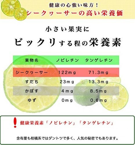 沖縄県産シークヮーサー果汁2Ｌ×2本 ペットボトル ノビレチン 豊富な 沖縄県産 青切り 100％ シークワーサー 原液 ジュース シークアーサー ホットシークヮーサー 沖縄ドリンク_1