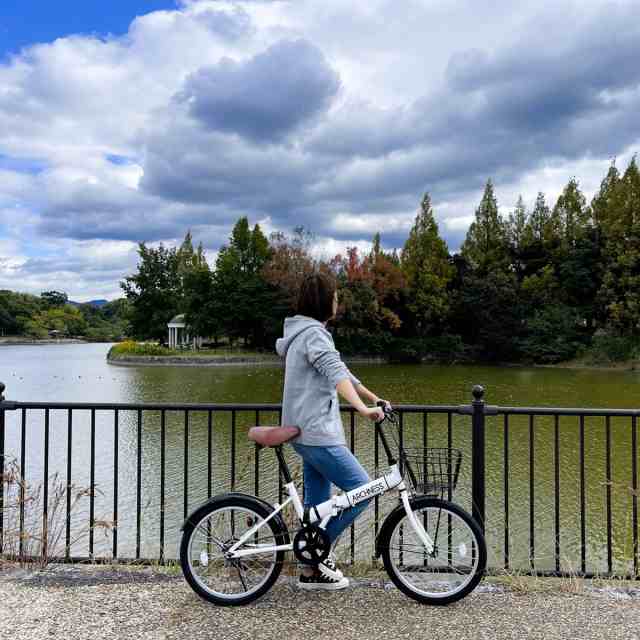 折りたたみ 自転車 20インチ カゴ 折り畳み 折畳 本州 送料無料 ミニベロ 小径車 通勤通学アイトン ARCHNESS 200-6の通販はau  PAY マーケット - アイトン株式会社 | au PAY マーケット－通販サイト