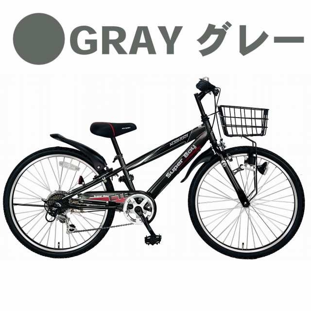 約15Kgサドル高新品グレー子ども キッズ ジュニア 自転車 ライト カギ