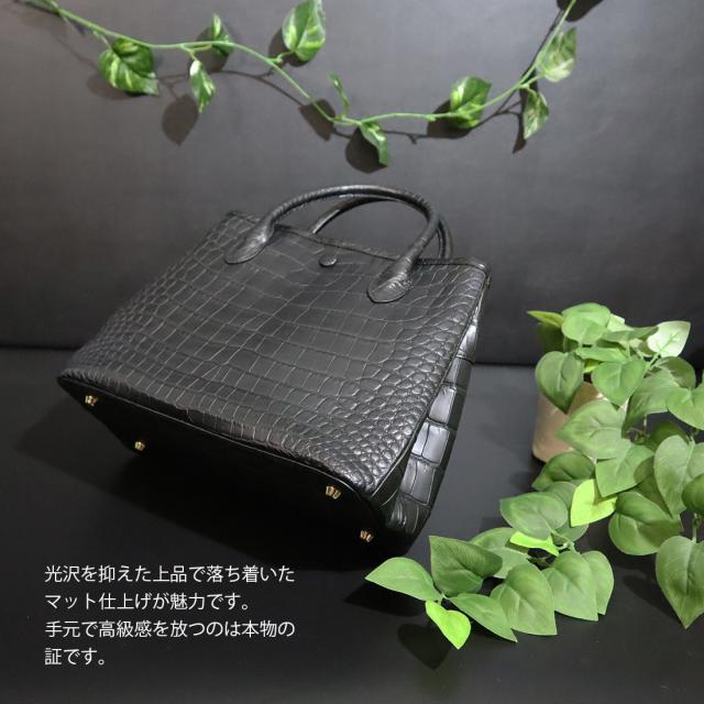 2025年最新】ロダニア クロコダイルバッグの人気アイテム - メルカリ