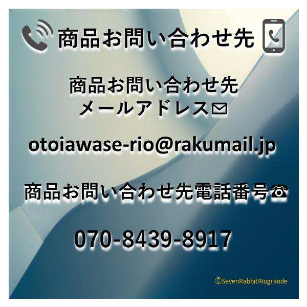 カットよっちゃんイカソーメン 10g ×20袋 よっちゃんイカソーメン 甘酢 スルメ スルメシート 三杯酢 晩酌 おつまみ 酒 まとめ買の通販はau  PAY マーケット Seven Rabbit au PAY マーケット－通販サイト