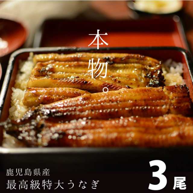 最高級うなぎ 国産 特大3尾   蒲焼き 丑の日 鹿児島鰻  高級鰻 生産量全国１位 特賞 国産うなぎ蒲焼き 鹿児島県産の通販は
