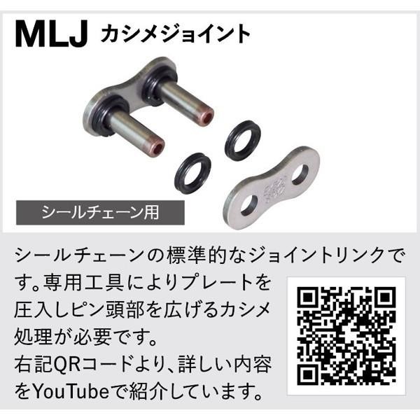 EKチェーン（江沼チェーン） 530ZV-X3 (BK/GP) 110L MLJ_1