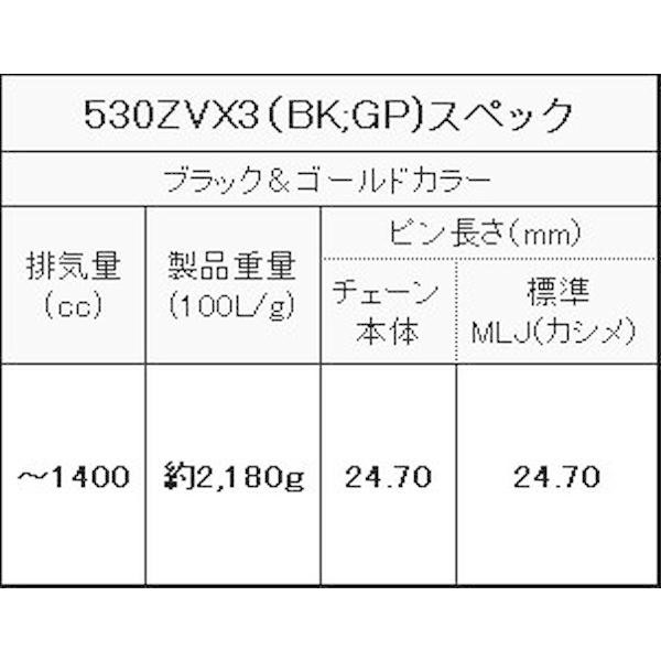 EKチェーン（江沼チェーン） 530ZV-X3 (BK/GP) 110L MLJ_4