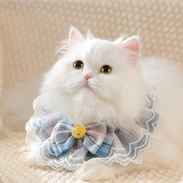 猫首輪　ストレッチレースリボン　ホワイト猫首輪