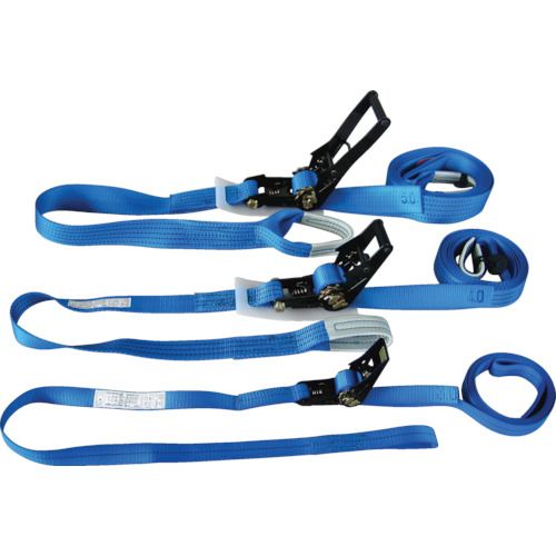 トーヨーセフティー ベルト荷締機 幅25mm×調節側ベルト4m/両端アイ形 標準タイプ ドロップストッパー付き No.5020