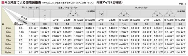 トーヨーセフティー Aスリングベルト 幅25mm×長さ5.0m/両端アイ形 吊部に強靭保護シート付き｜au PAY マーケット