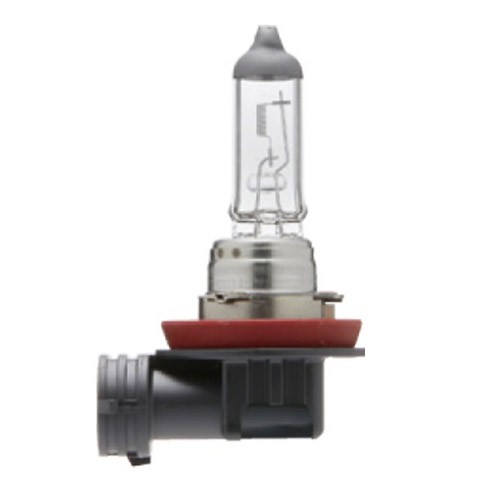 h11 12v 55w fog light bulbs