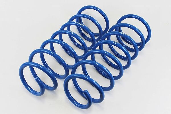 4x4エンジニアリング コイルスプリング トヨタ ランドクルーザー100 HDJ101K/UZJ100W 1998年01月〜2007年07月 リヤセット 入数：1セット(2本) CST030RS