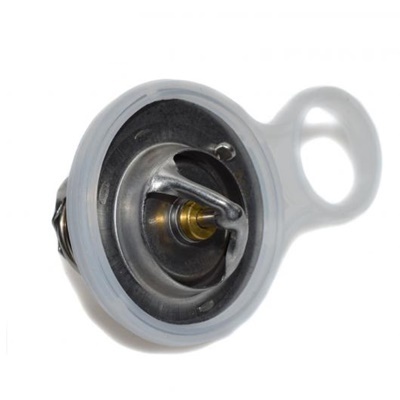 AL 発動機冷やかすサーモスタットガスケットシール ミニクーパー 1.6L R50 R52 R53 2002-2008 MO4667293 53010552AA 11531485847 AL-BB-8634