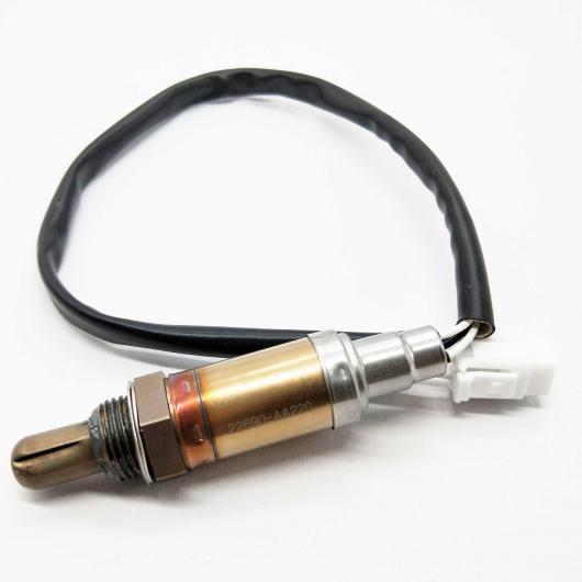 ナオキング ウィメンズ 防水ハイキングシューズ | ザイオニック エヌエックス