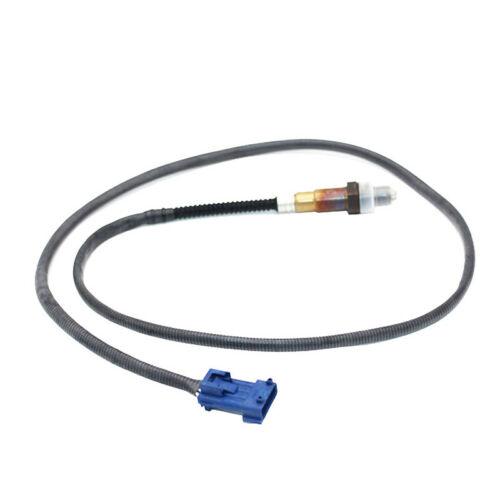 O2 O2センサー オキシジェンセンサー OEM 9636148880 適用: 1998 2012 シトロエン/CITROEN C エリーゼ C4 AL-II-8859 AL