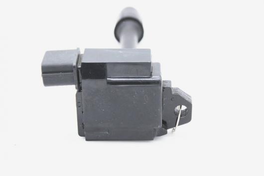 スタンダード サイズ イグニッション コイル 適用: 日産 OEM 22448-2Y000 22448-2Y001 22448-2Y010 AL-LL-6002 AL_4