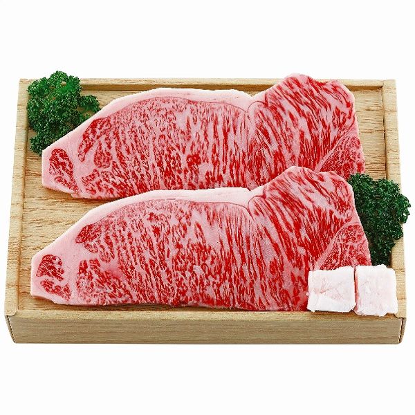杉本食肉産業 飛騨牛サーロインステーキ用 入数：1セット(3枚) (4268-040)の通販は 22,680円
