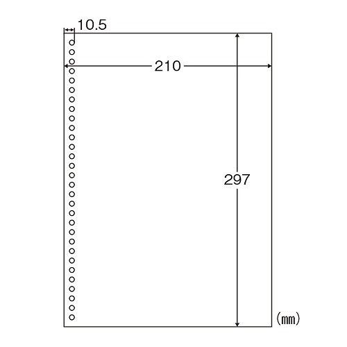 ヒサゴ マルチプリンタ帳票 エコノミー A4 30穴 入数：1箱(2500枚) BPE2049(32706)