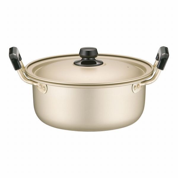 アカオ(AKAO) しゅう酸 実用鍋 20cm 硬質 AZT8703の通販は