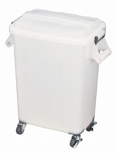 好奇心いっぱい アリス SP PSA10 Disney100 好奇心いっぱい アリス SP