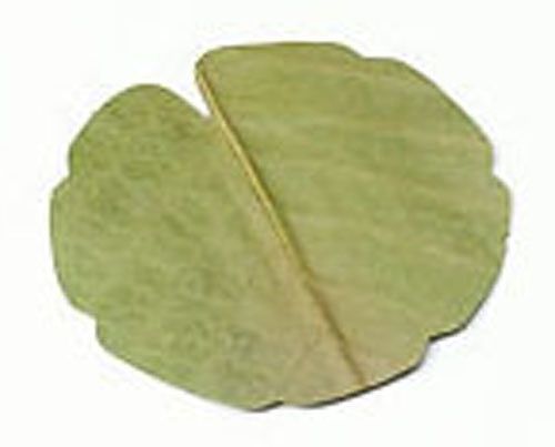 ヤマコー(Yamaco) 干朴葉懐敷 緑 丸型小 入数：1セット(100枚入) 25995(QHO1302)