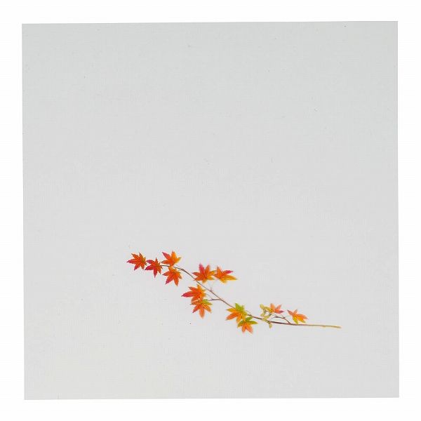 アーテック(artec) OPクリア四季 赤もみじ 18cm角 入数：1セット(200枚入) OS-18-9(QKL093)