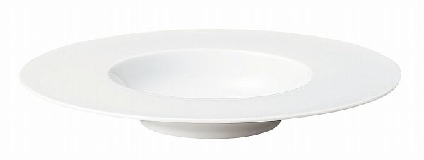 エコス グルメプレート 29cm 磁器 CV2912(REC1101)