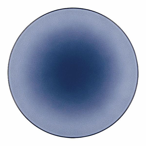 REVOL(レヴォル) エキノクス プレゼーションプレート シーラス・ブルー φ31.5cm 649503(RRB4603)の通販は 14,652円