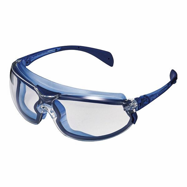 クレシア クリーンガード V20 エンビジョンPRO クリアレンズ 67670(SGC1001)