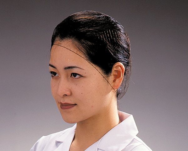 PAL ヘアーネット L ナイロン 入数：1セット(100枚入) T20664(SNT0103)の通販は 6,629円