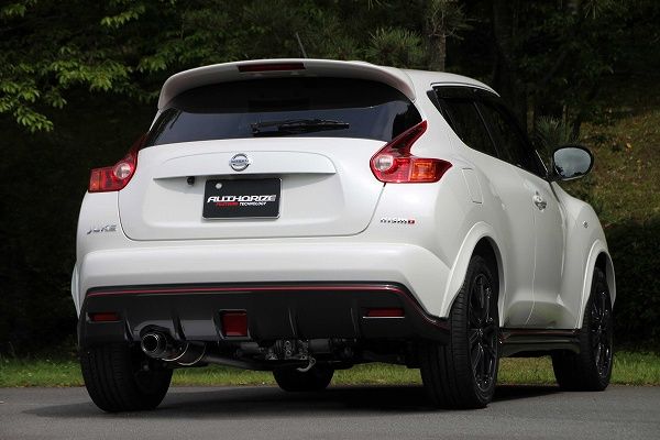 フジツボ(FUJITSUBO) A-RM＋c マフラー 日産 ジューク ステンレス＋カーボンモデル 250-11815