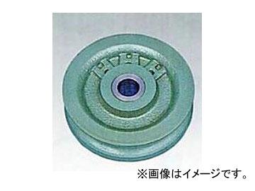 ファイヤーワイヤー ダブルエイジェント 5.4 FST 商品 – FIREWIRE