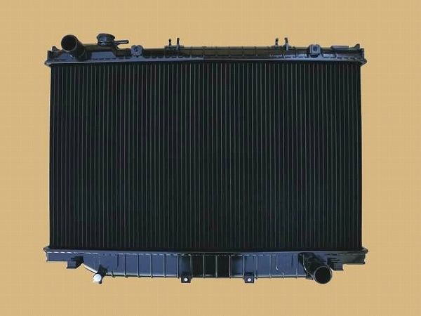 斎藤裕 MOST BE DONE 受注生産 オフィシャルグッズ 食器 どんぶり