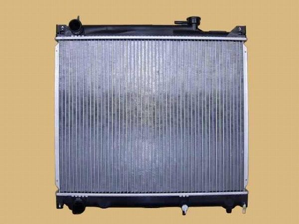 日本大道芸事典 光田憲雄 版元品切絶版 人文