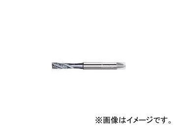 ワルター・ツーリング・ジャパン プロトティップ INOX スパイラルタップ(TICNコート) JC2056306M20(3909077) JAN：4042446200350