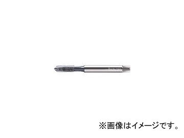 ワルター・ツーリング・ジャパン プロトティップ TINI ポイントタップ(TICNコート) JC2026616M12(3878368) JAN：4042446199678