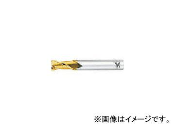 オーエスジー/OSG ハイスエンドミル TIN 2刃ショート 19mm EXTINEDS19(6314112)
