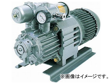 ミツミ 完全無給油式ロータリーポンプ MSV-400-IE3(7761945)