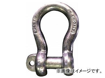 大洋 JISシャックル M級 ドブ BC-20 JBC20G(8199972)