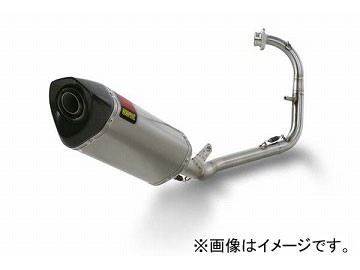 2輪 アクラポヴィッチ レーシング 1-1 HEXAGONAL カーボン S-Y125R1-ZC ヤマハ YZF-R125 2008年〜2013年 JAN：4548664142729