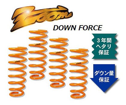 ズーム ダウンフォース ローダウンサスペンション ZTO041015SDF 入数 ...