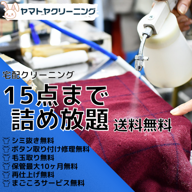 クリーニング 宅配 １５点 まで 詰め放題 ハンガー仕上げ 保管 送料無料 シミ抜き無料 宅配 コート スーツ ワンピース ダウン 衣替え 毛