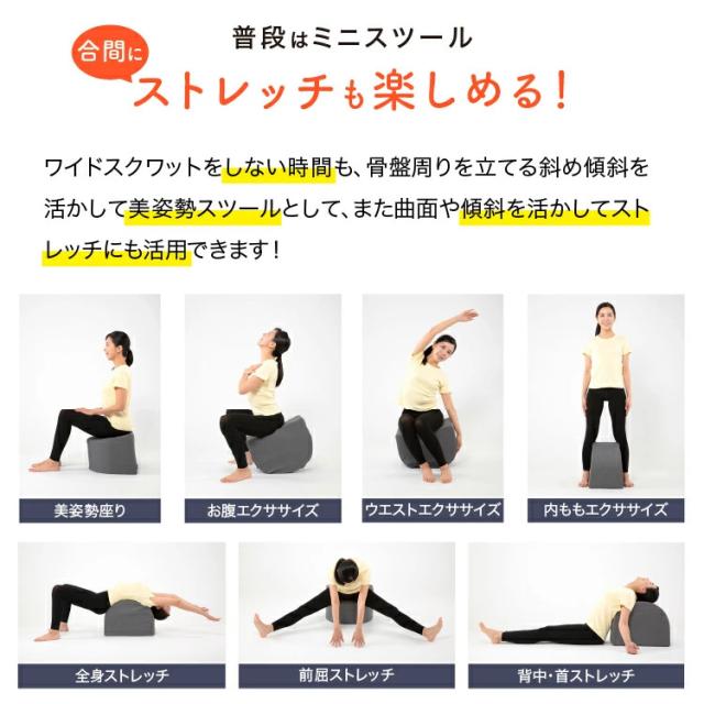 ワイドスクワットホッパー エクササイズ ワイドスクワット ストレッチ お腹 お尻 背中 太もも KANAMI 運動 簡単 トレーニング プレゼント セール PROIDEA プロイデア ドリーム 送料無料_10