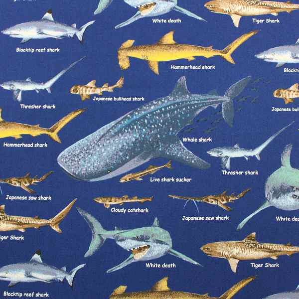 65%OFF【送料無料】 サメ図鑑 10cm単位価格】 シャーク 魚 海の生き物 サメツイル 手提げ・レッスンバッグ・入園グッズ
