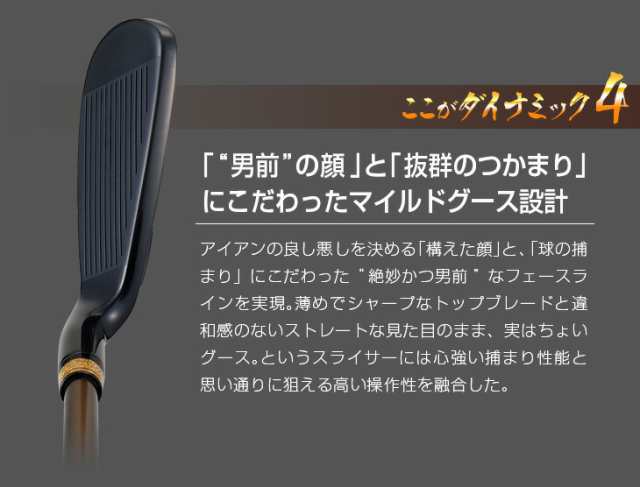 DAYNA GOLF ダイナミクス プレステージ アイアン 6本セット ダイナ ...