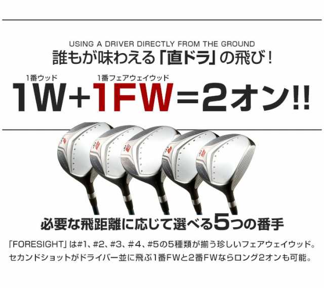 WORKS GOLF フォーサイト FW 2本セット USTマミヤ V-SPEC α-4 シャフト