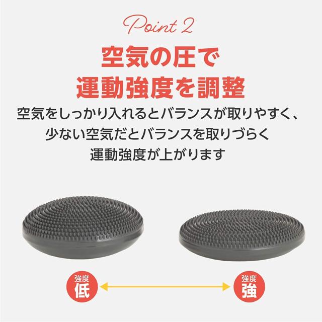 バランスディスク 空気入れ付き 直径33cm 耐荷重250kg 体幹