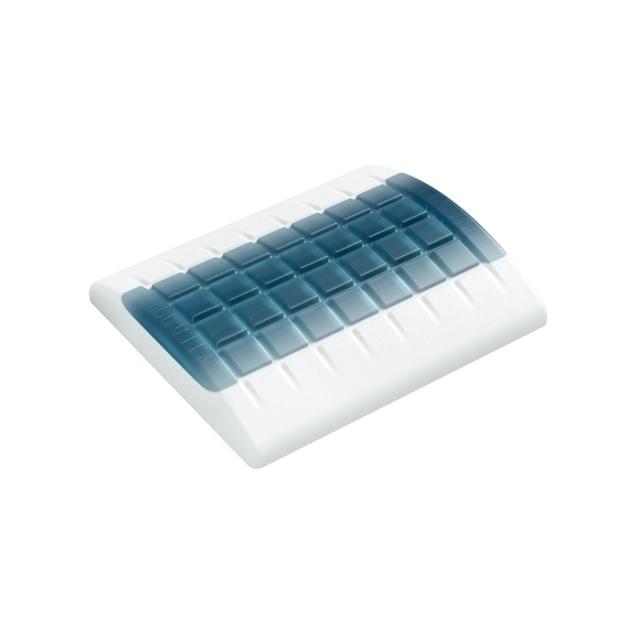 Technogel Living Lumbar Support 2(30×25.4cm)の通販は